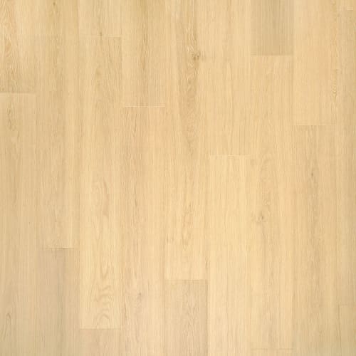Andilet|Glazed Ginger Oak|KLW01-02 - Sample
