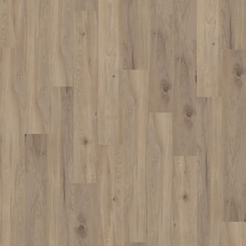 Woodland Driftwood Grey  - Sample