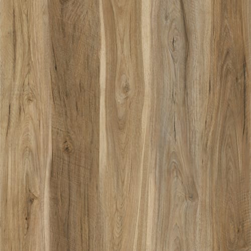 Woodland|Honey Oak|D-TPBLUXWHOOAPLANK-I - Sample
