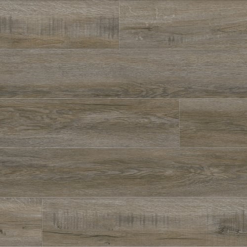 Metropolis|Tarnished|ME7880 - Sample