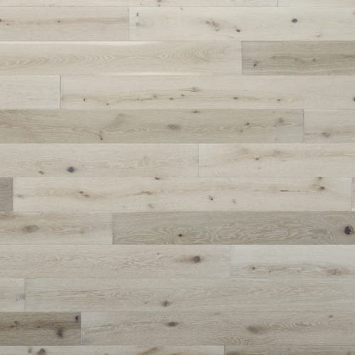 Belmont Hills|Montclair|P-BH537OMY-HF - Sample