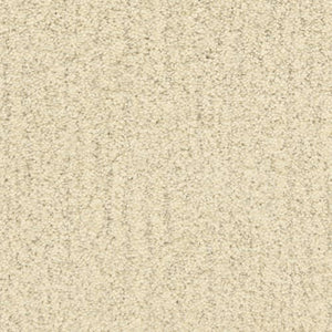 Monterey|Coastline|806MY-738MY - Sample