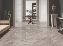 Load image into Gallery viewer, Tanami|Talpa - Polished|PM-110058991-D - Sample