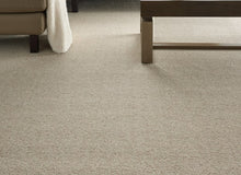 Load image into Gallery viewer, Bismarck|Stone|D-Bismarck 25-N - Sample