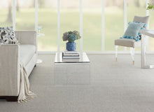 Load image into Gallery viewer, Berber Ridge|Quarry|D-Berber Ridge 265-N - Sample