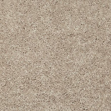 Load image into Gallery viewer, Lasting Option II|Latte|3G80-758 - Sample
