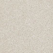 Load image into Gallery viewer, New Take|Monarch Bone|63590-6717 - Sample