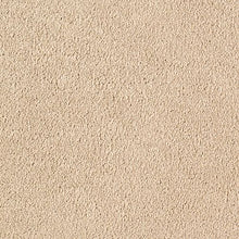 Load image into Gallery viewer, Quiet Sophistication|Ivory Buff|70906-3719 - Sample