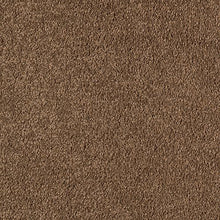 Load image into Gallery viewer, Tranquil Bliss|Timeless|K8879-9876 - Sample