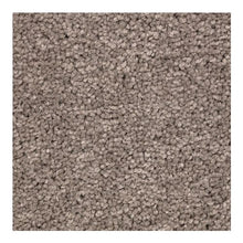 Load image into Gallery viewer, Essential Color|Poised Taupe|2U75-789 - Sample