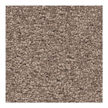 Load image into Gallery viewer, Dramatic Feeling|Mesquite Chip|BP25B-838 - Sample