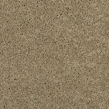 Load image into Gallery viewer, Lavish Tones II|Windsong|BP45C-756 - Sample