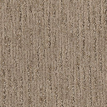 Load image into Gallery viewer, Sheer Innovation|Glazed Walnut|2F67-748 - Sample