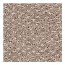 Load image into Gallery viewer, Classic Statement|Flaxen|2H12-509 - Sample
