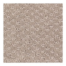 Load image into Gallery viewer, Free Style|Willow Bark|2H15-508 - Sample