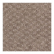 Load image into Gallery viewer, Feature Presentation|Woodchuck|BP16A-504 - Sample