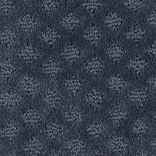 American Portrait|Nautica|BP15A-501 - Sample