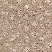 Load image into Gallery viewer, American Portrait|Camel|BP15A-514 - Sample