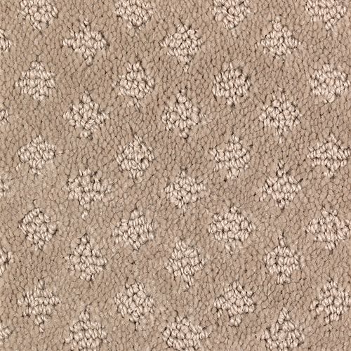 American Portrait|Camel|BP15A-514 - Sample