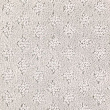 Load image into Gallery viewer, American Portrait|Icy|BP15A-516 - Sample