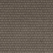 Load image into Gallery viewer, Luxurious Moment|Shadow Taupe|2H04-503 - Sample