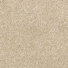 Load image into Gallery viewer, Gentle Allure|Potter's Clay|K8875-9738 - Sample