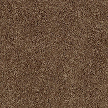 Load image into Gallery viewer, Redford Heights|Raw Sienna|2J38-9898 - Sample