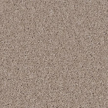 Load image into Gallery viewer, Neutral Base|Montana|BP08A-758 - Sample