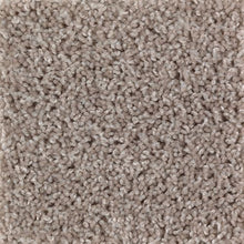 Load image into Gallery viewer, Beige And Beyond|Gleaming Tan|2G54-727 - Sample