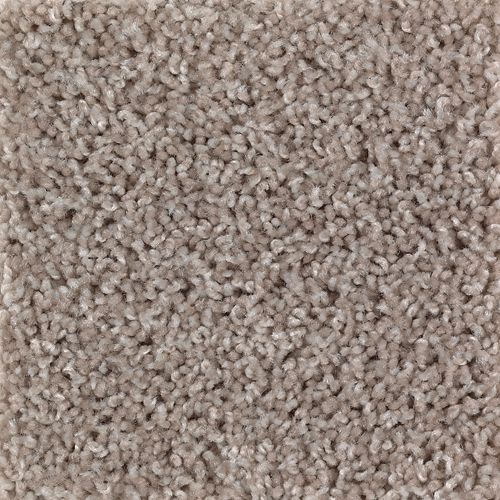 Beige And Beyond|Gleaming Tan|2G54-727 - Sample