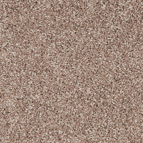 Bold Appeal|Sumatra Blend|BP10A-852 - Sample