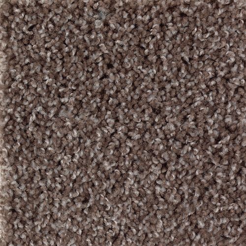 Bold Appeal|Molten Penny|BP10A-872 - Sample