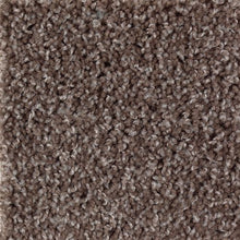 Load image into Gallery viewer, Beige And Beyond|Molten Penny|2G54-872 - Sample