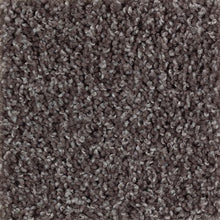 Load image into Gallery viewer, Bold Appeal|Rootbeer|BP10A-879 - Sample