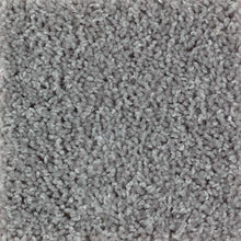 Load image into Gallery viewer, Beige And Beyond|Frosted Pane|2G54-929 - Sample