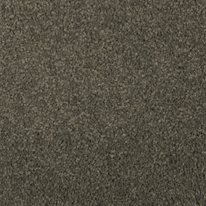 Absolute Elegance I|Pine Needle|2N34-540 - Sample