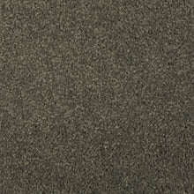 Load image into Gallery viewer, Absolute Elegance I|Pine Needle|2N34-540 - Sample