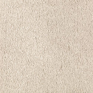 Abingdon Forest|Shoreline|BZ177-506 - Sample