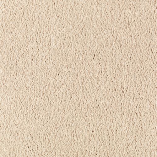 Abingdon Forest|Antique Ivory|BZ177-502 - Sample
