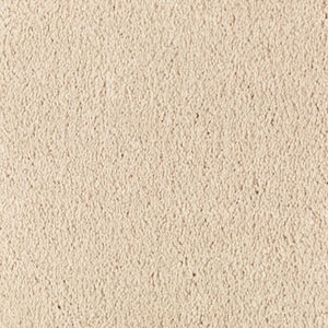 Abingdon Forest|Antique Ivory|BZ177-502 - Sample