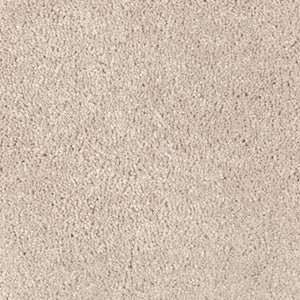 Abingdon Forest|Parchment|BZ177-509 - Sample