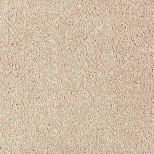 Absolute Elegance I|Beach Pebble|2N34-513 - Sample