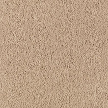 Load image into Gallery viewer, Absolute Elegance I|Maple Tint|2N34-503 - Sample