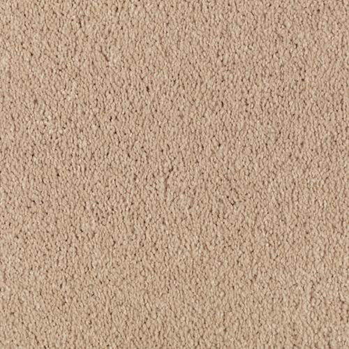 Abingdon Forest|Maple Tint|BZ177-503 - Sample
