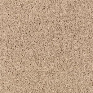 Abingdon Forest|Maple Tint|BZ177-503 - Sample