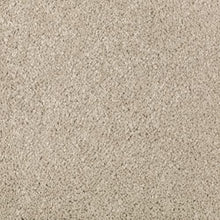 Load image into Gallery viewer, Abingdon Forest|Sand Dollar|BZ177-517 - Sample