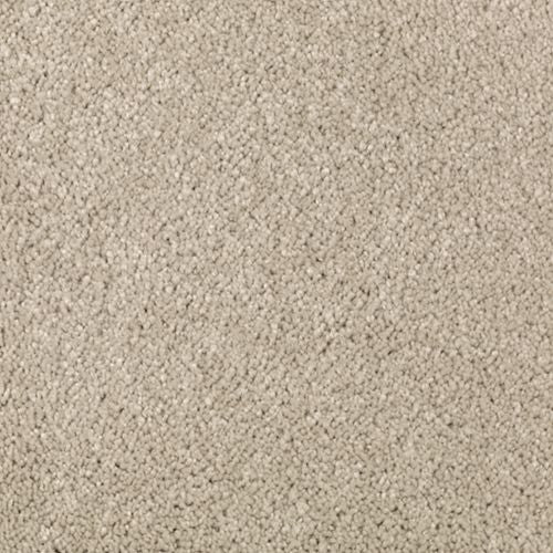 Abingdon Forest|Sand Dollar|BZ177-517 - Sample