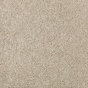 Abingdon Forest|Sand Dollar|BZ177-517 - Sample