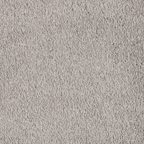 Abingdon Forest|Natural Grain|BZ177-507 - Sample