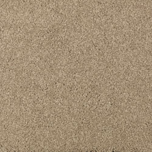Absolute Elegance I|Brushed Suede|2N34-511 - Sample